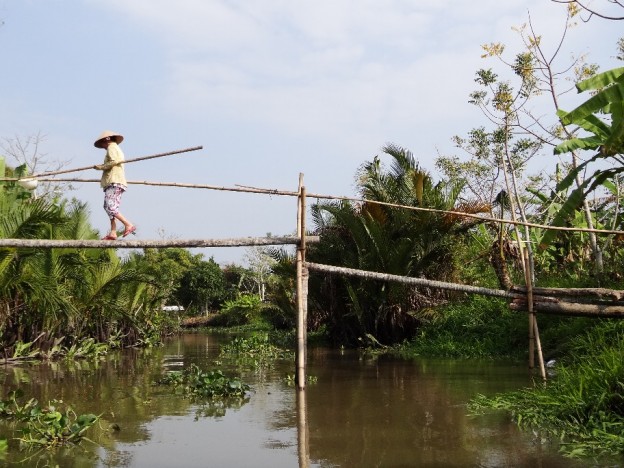 mekong delta